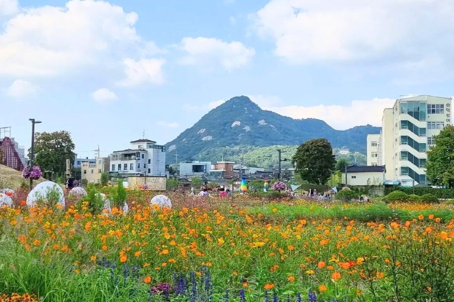 south-korea-new-attractions