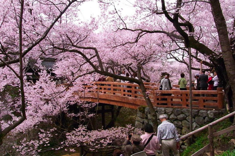 japan-attractions