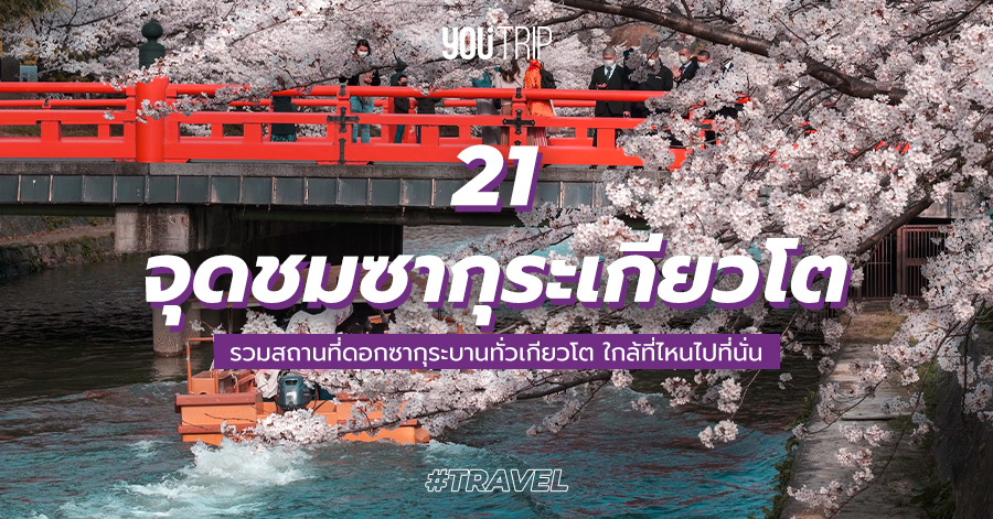kyoto-sakura