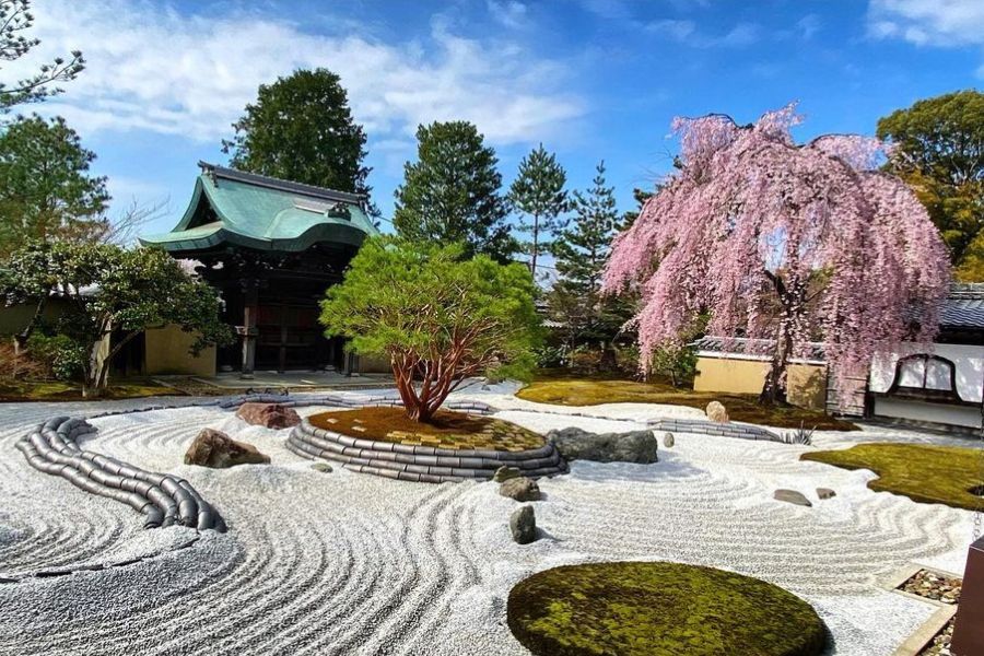 kyoto-sakura