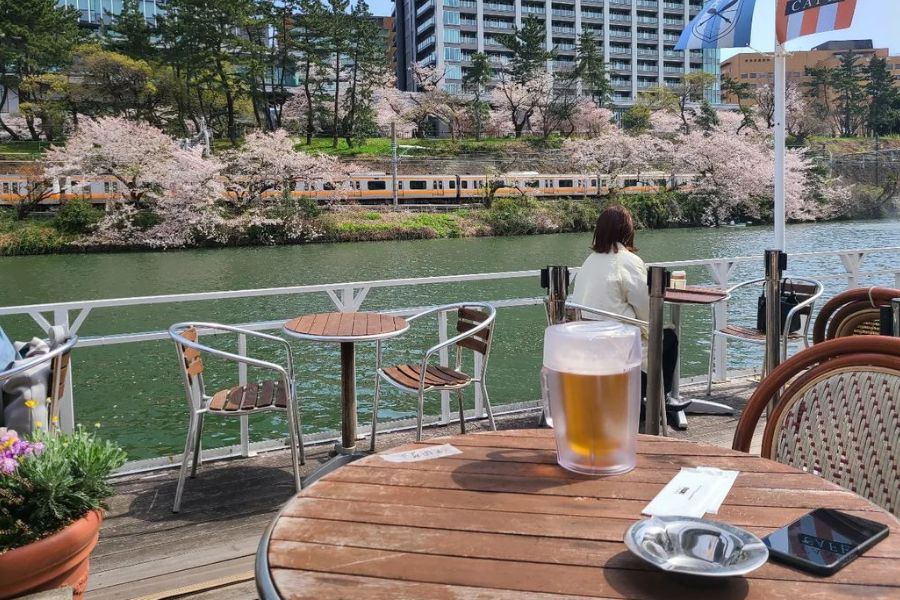 tokyo-sakura-cafe