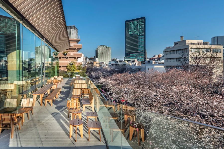 tokyo-sakura-cafe