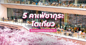 tokyo-sakura-cafe