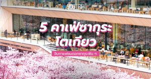 tokyo-sakura-cafe