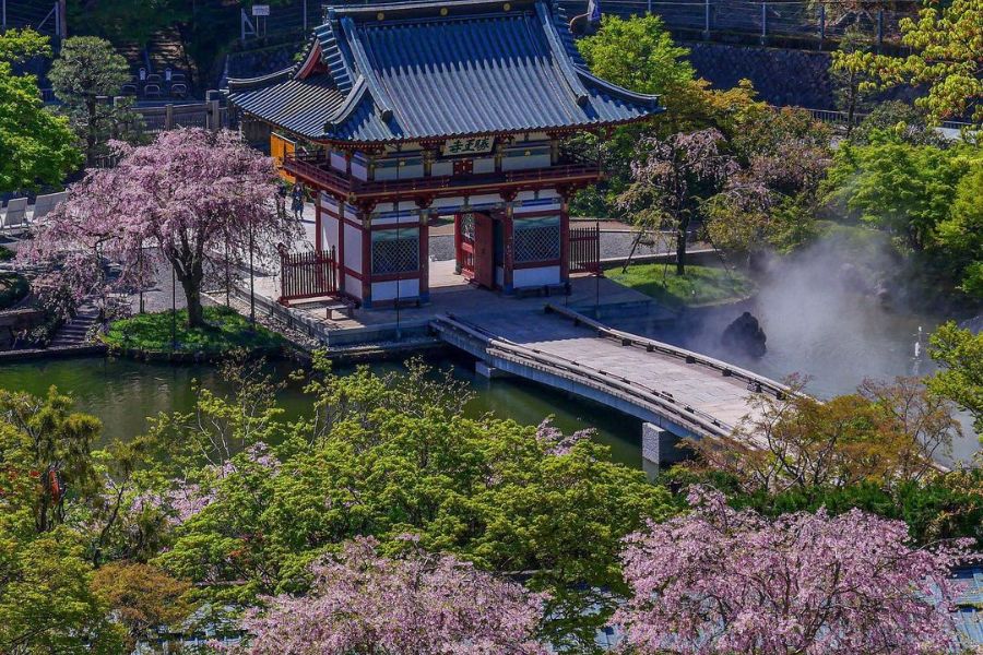 osaka-sakura