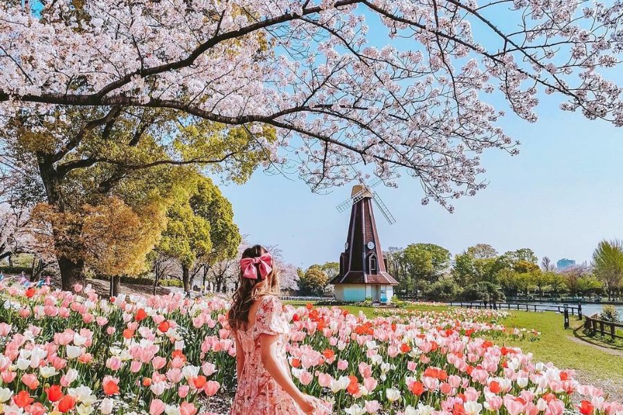 tokyo-sakura