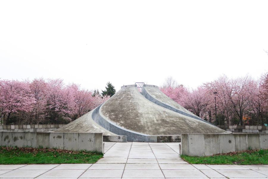 hokkaido-sakura