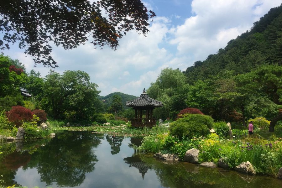 south-korea-summer