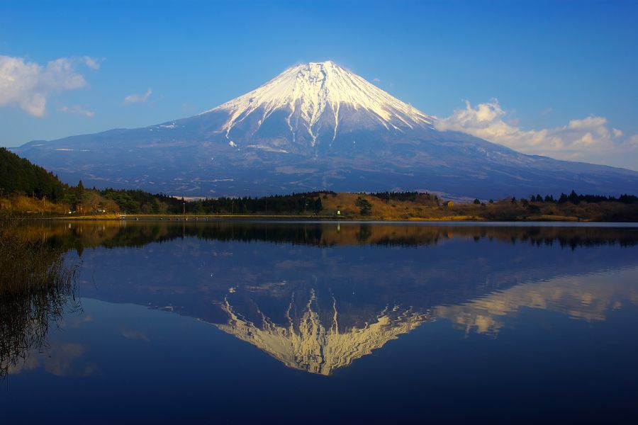 fuji