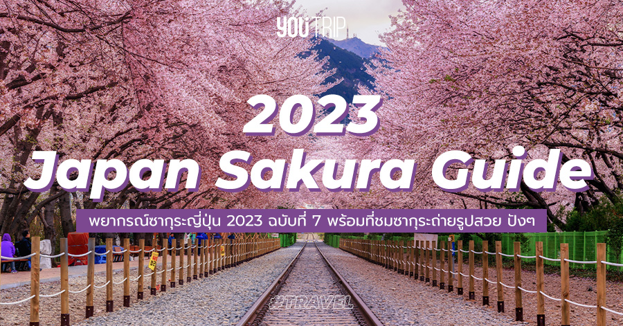 japan-sakura-guide