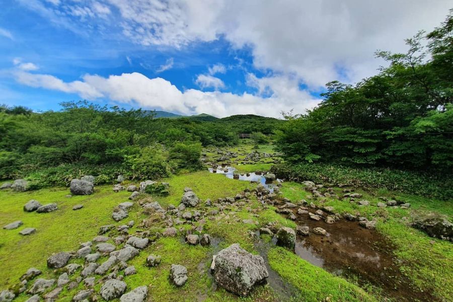 jeju