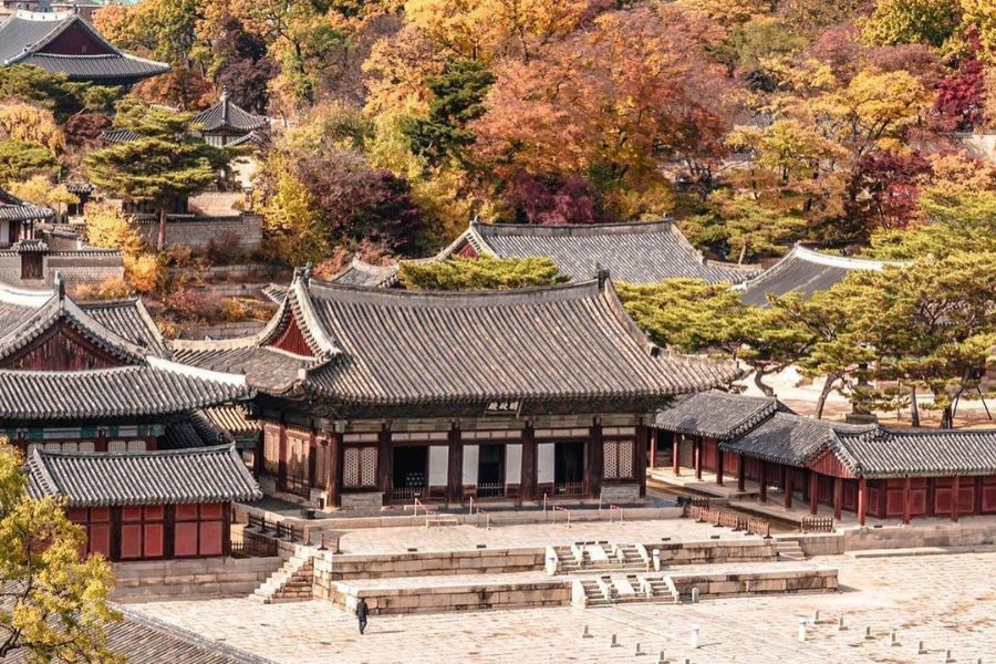 seoul-autumn
