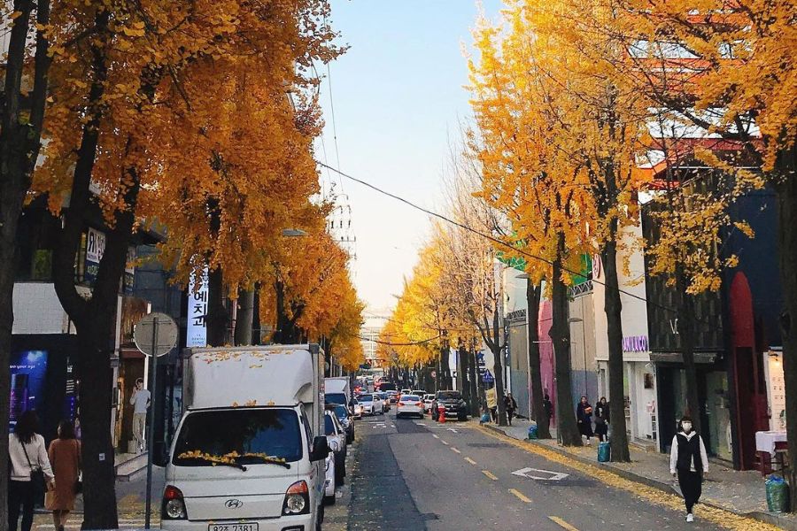south-korea-autumn