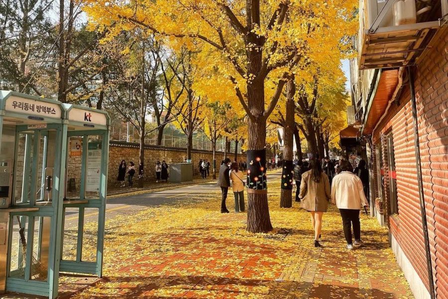 seoul-autumn