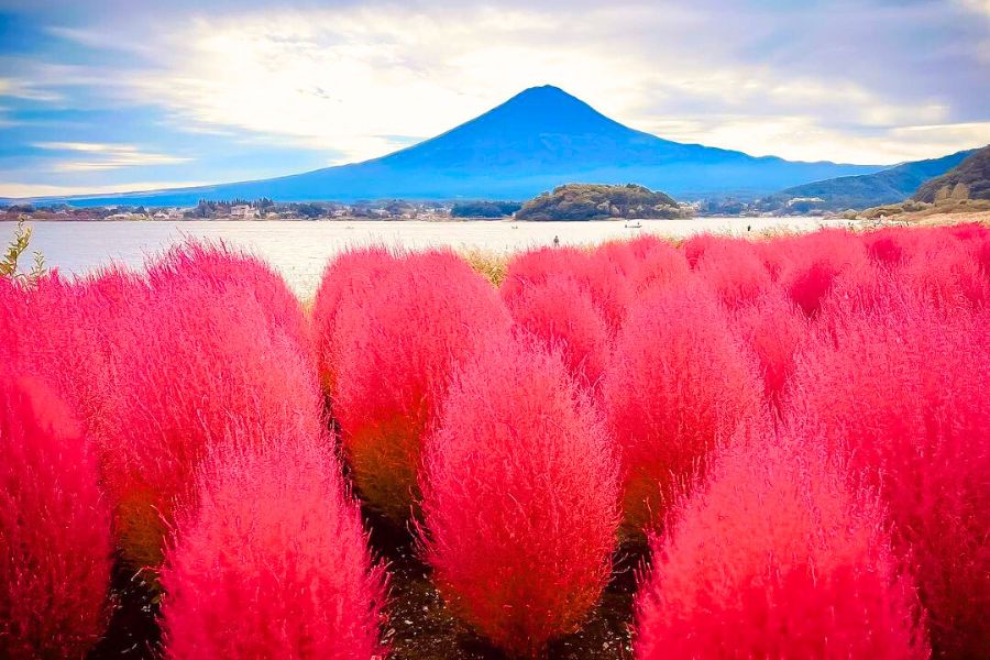 japan-autumn