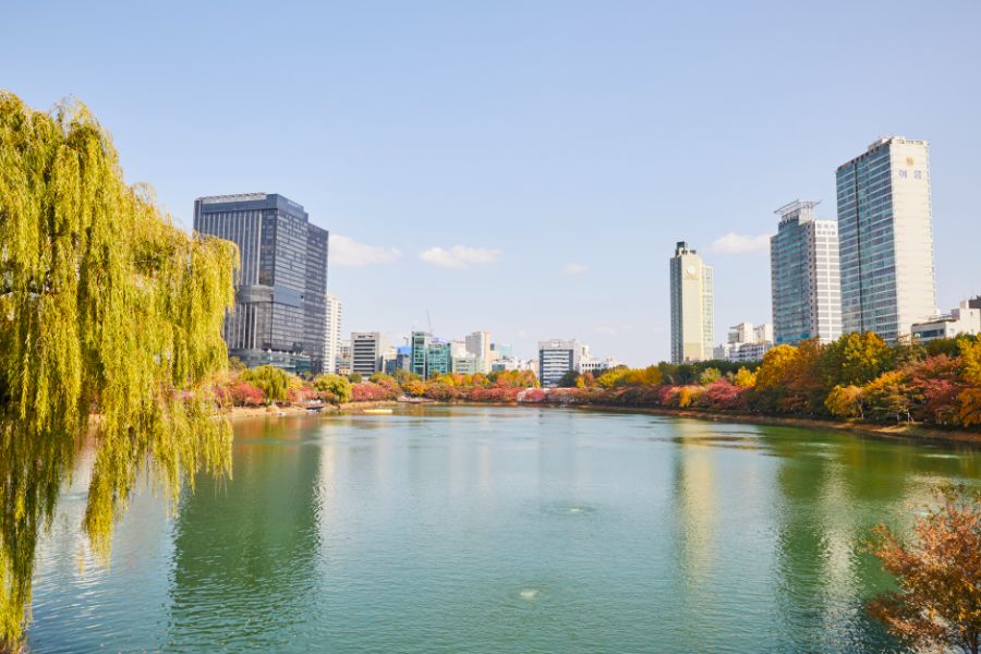 seoul-autumn