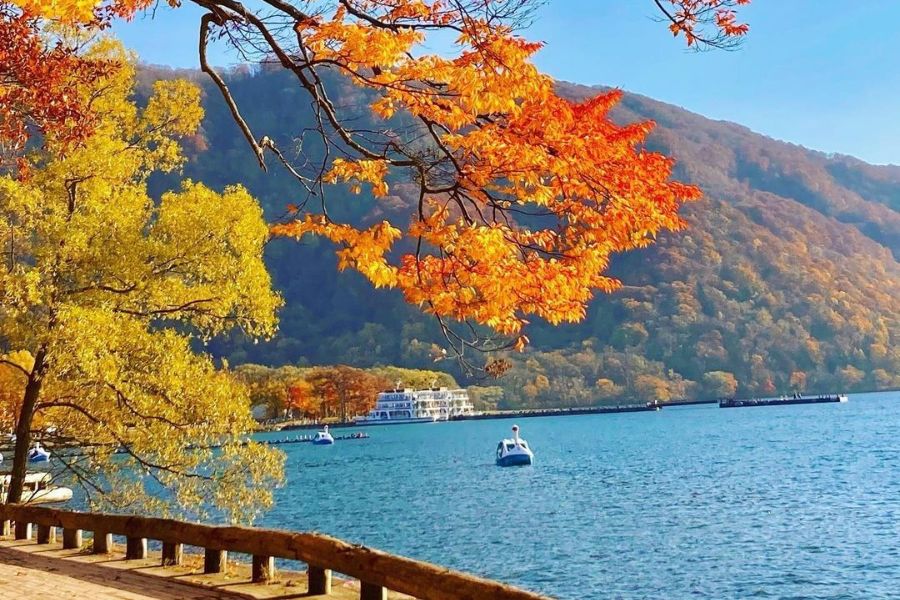 japan-autumn
