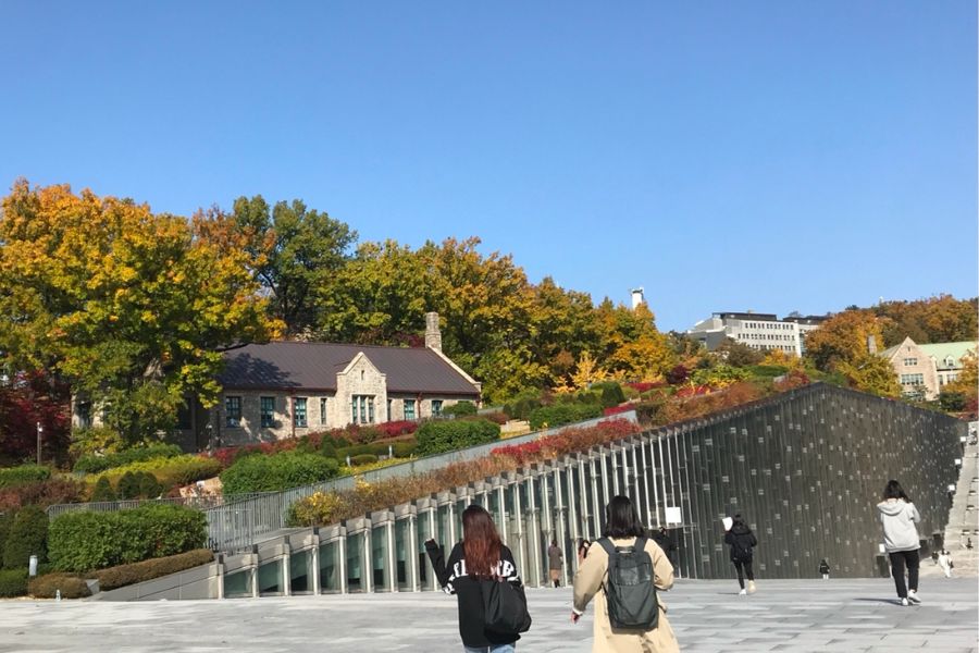seoul-autumn