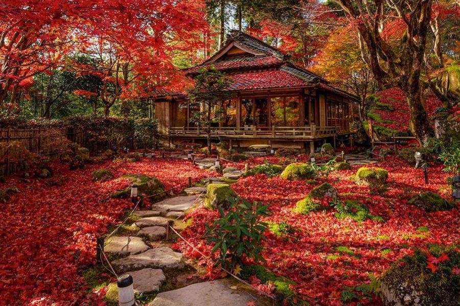 japan-autumn
