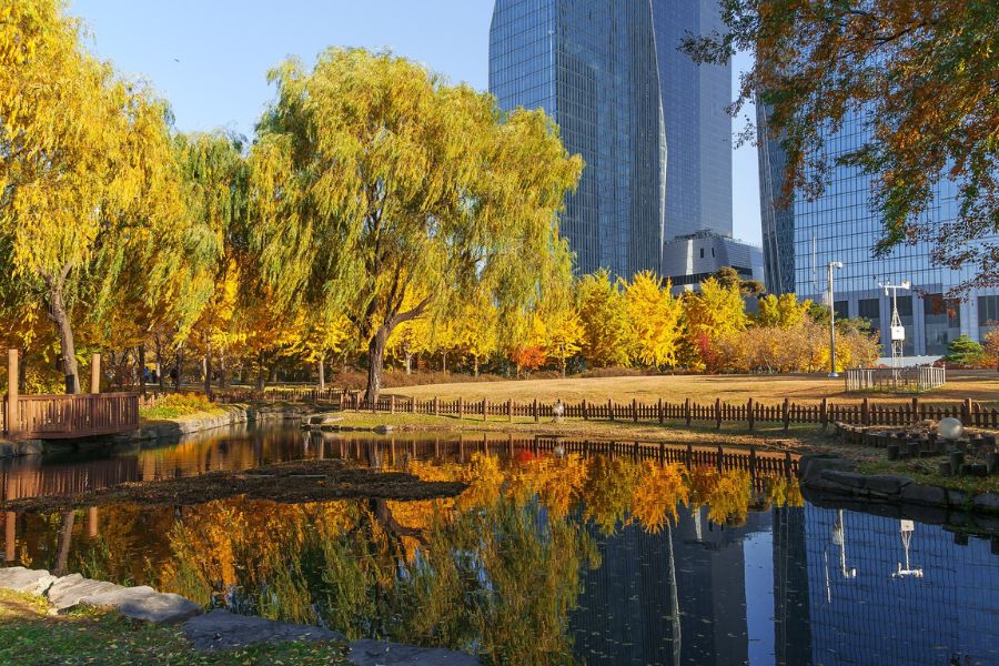 seoul-autumn