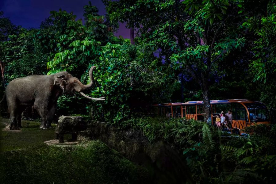 singapore-night-attractions
