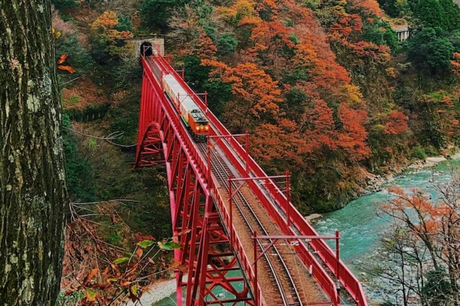 japan-autumn