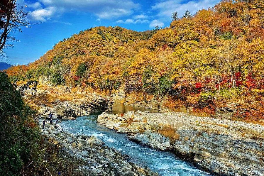 japan-autumn