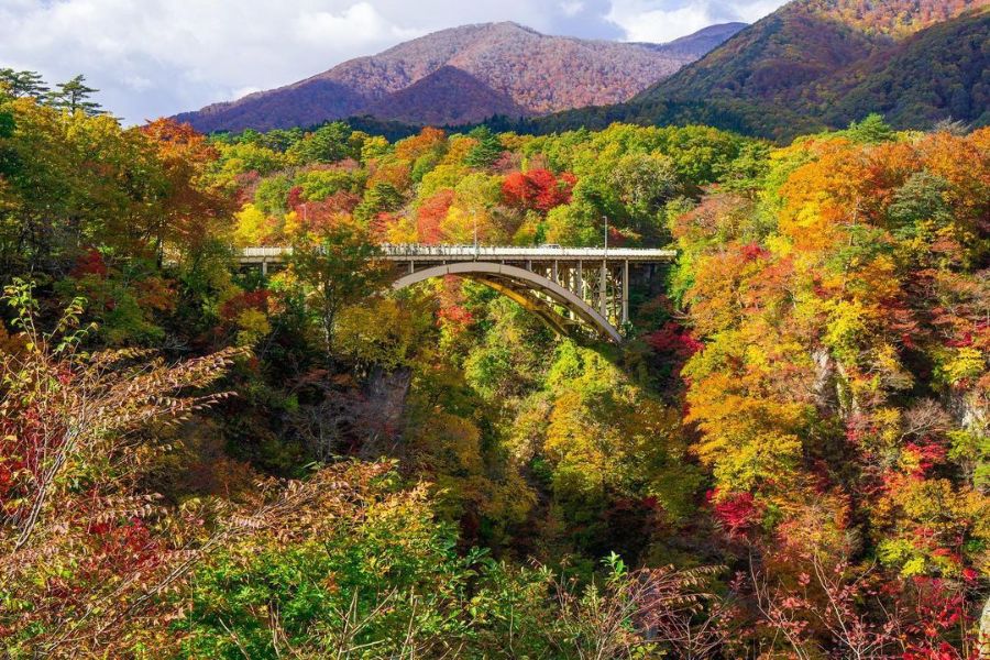 japan-autumn