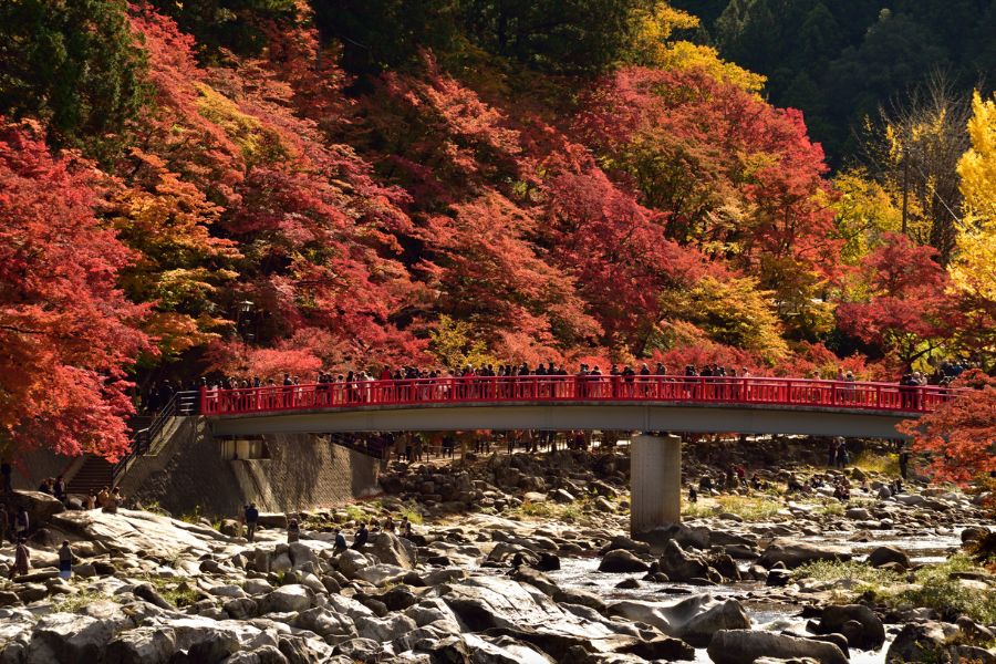 japan-autumn