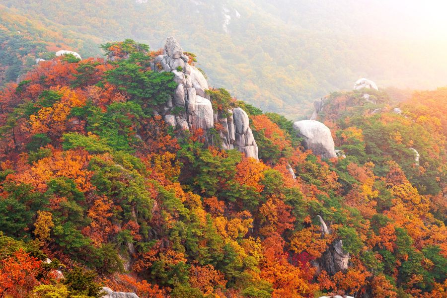 seoul-autumn