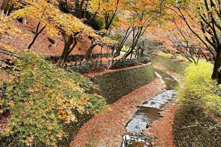 japan-autumn