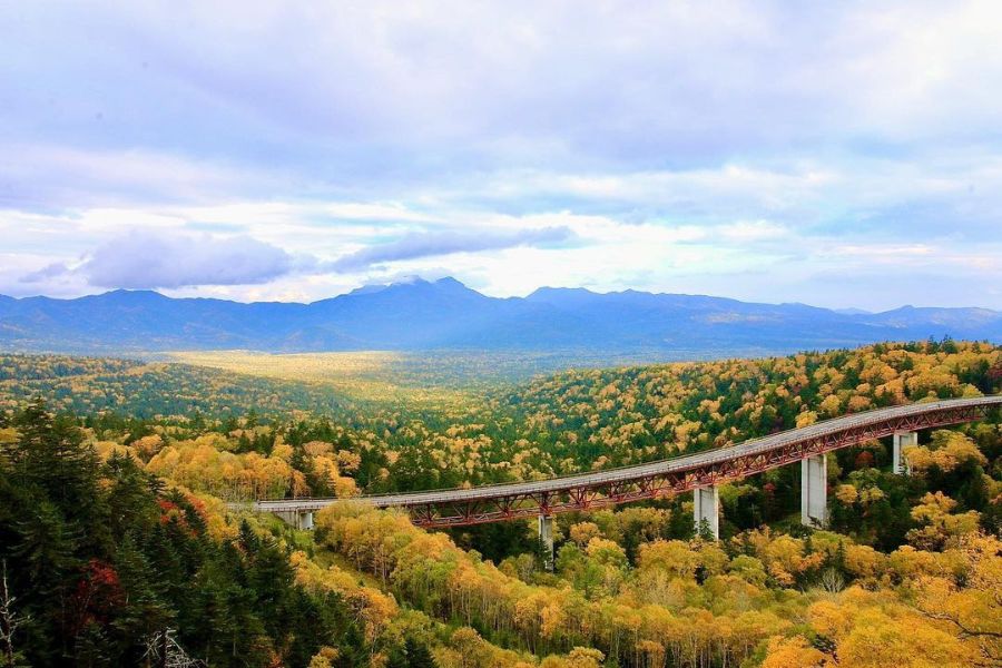 hokkaido-autumn