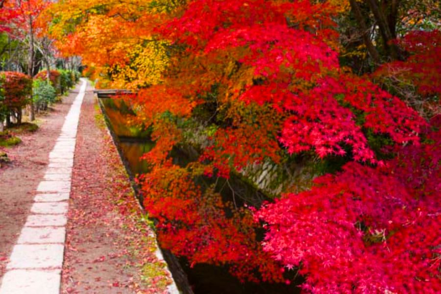 kyoto-autumn