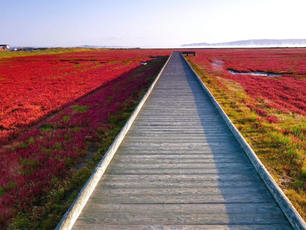 hokkaido-autumn