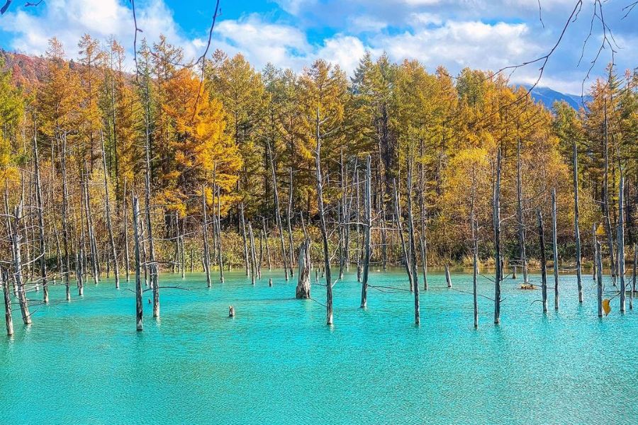 hokkaido-autumn