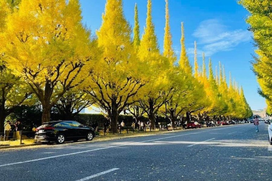 tokyo-autumn