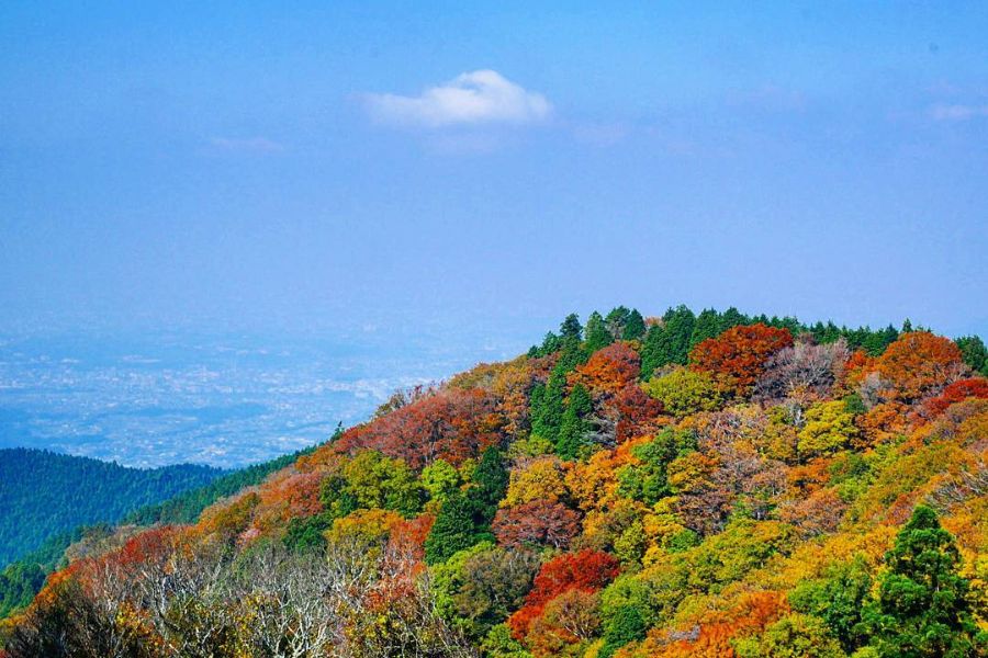 osaka-autumn