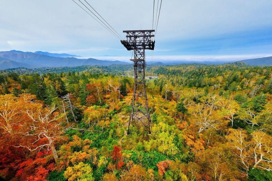 hokkaido-autumn