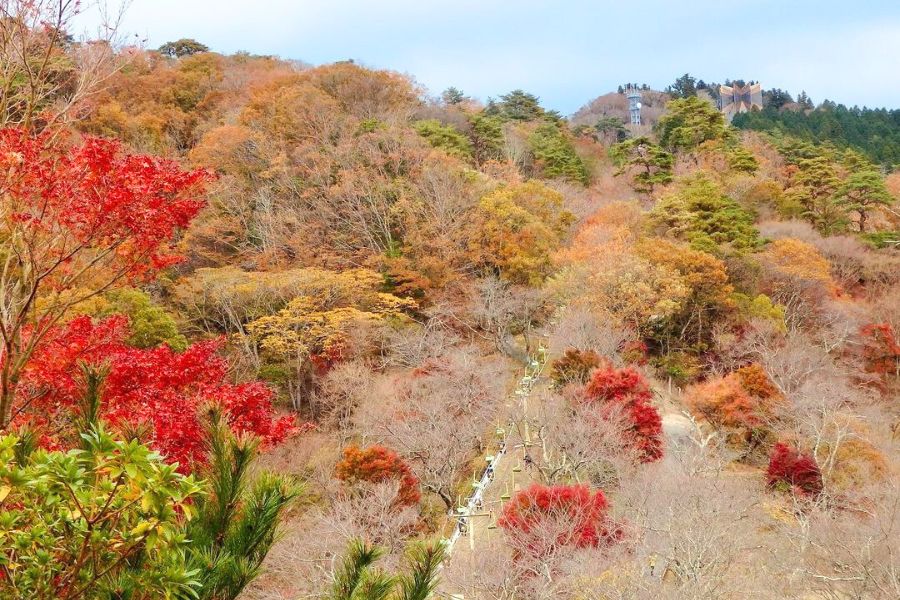 osaka-autumn