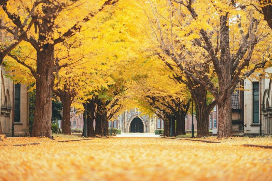 tokyo-autumn