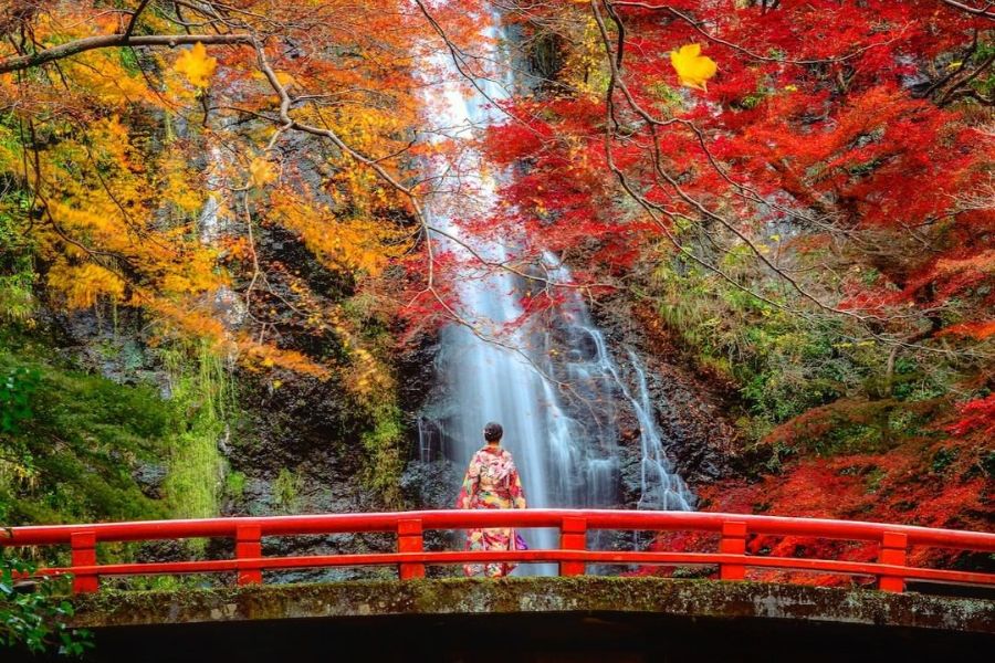 osaka-autumn