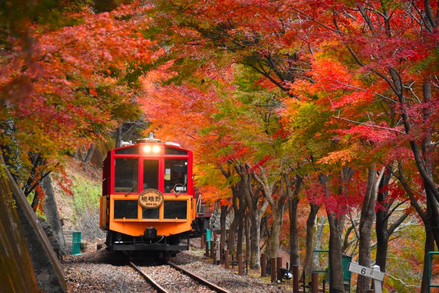 kyoto-autumn