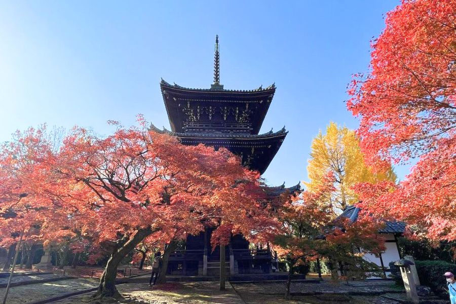kyoto-autumn