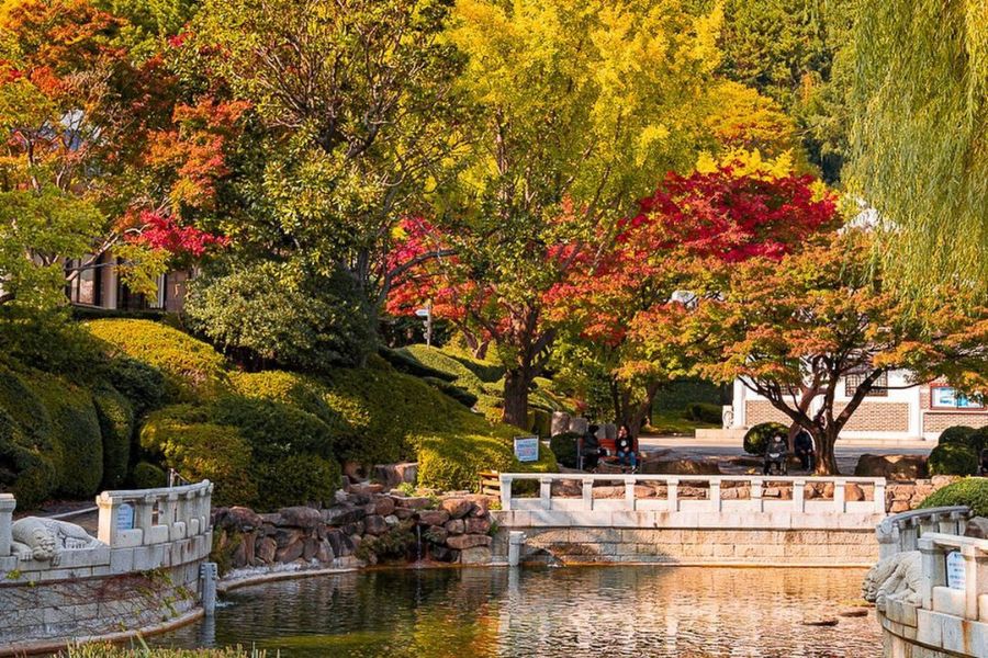 busan-autumn