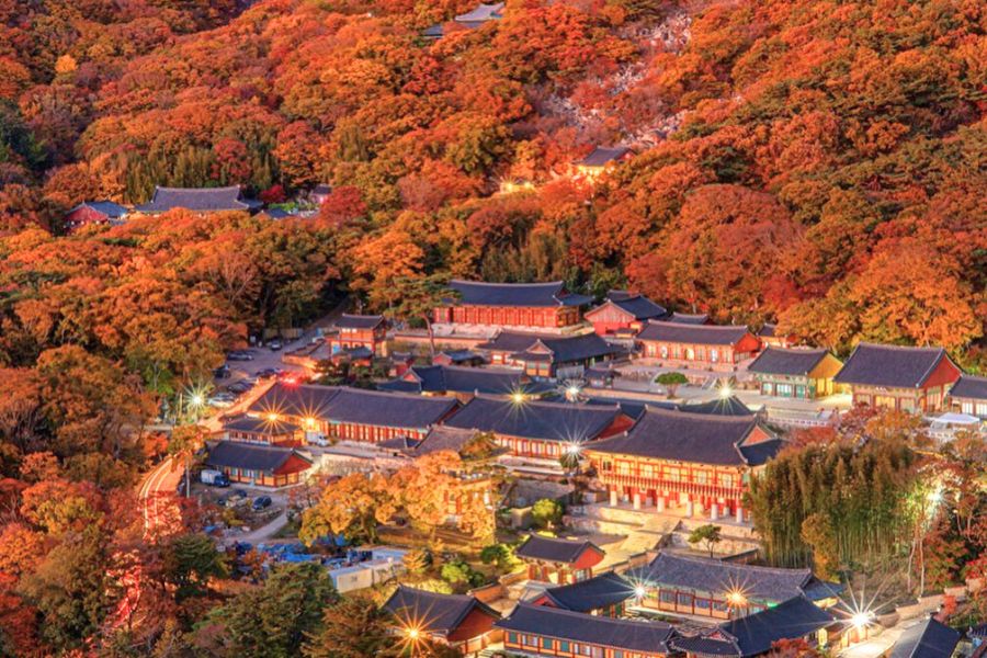 busan-autumn