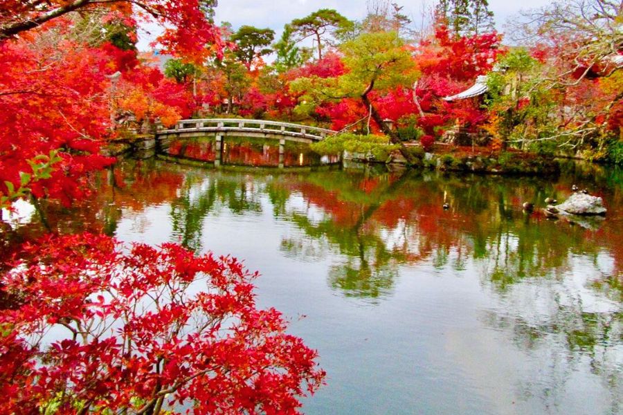 kyoto-autumn