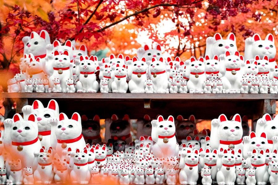 tokyo-autumn