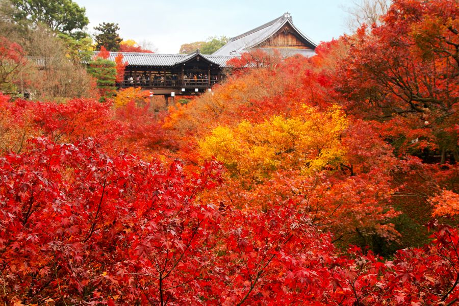 kyoto-autumn