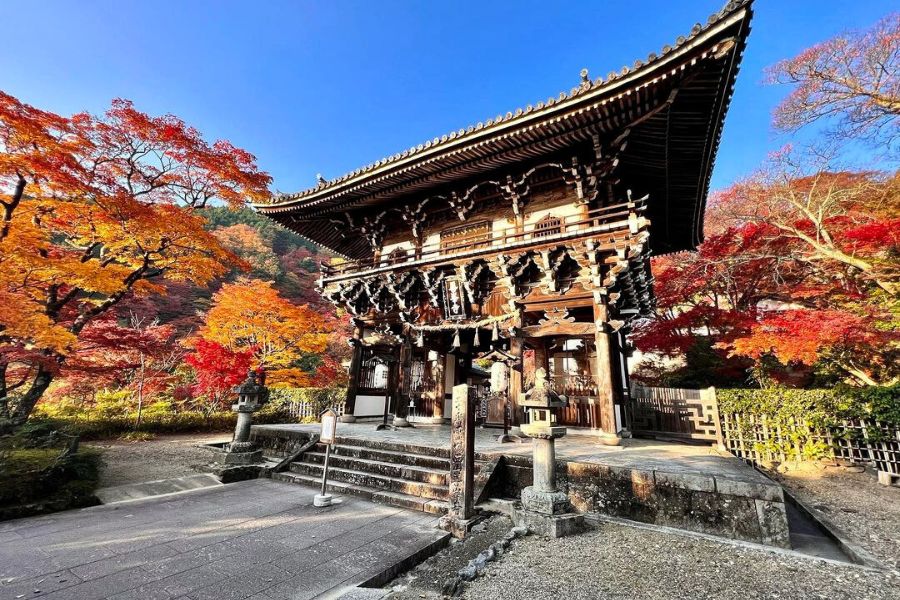 kyoto-autumn