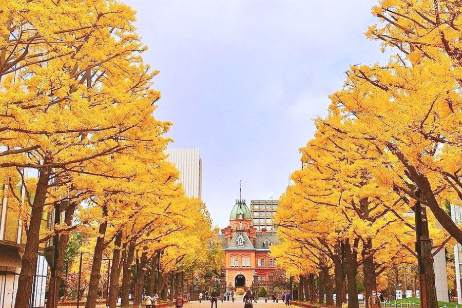hokkaido-autumn